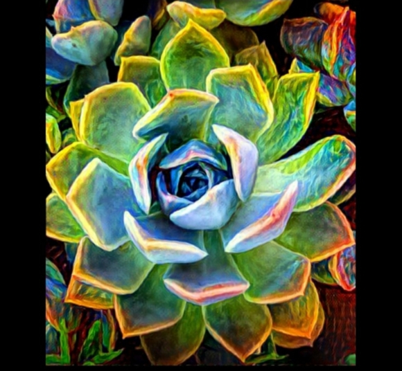 TommyRider33 - Picture 6 of 16